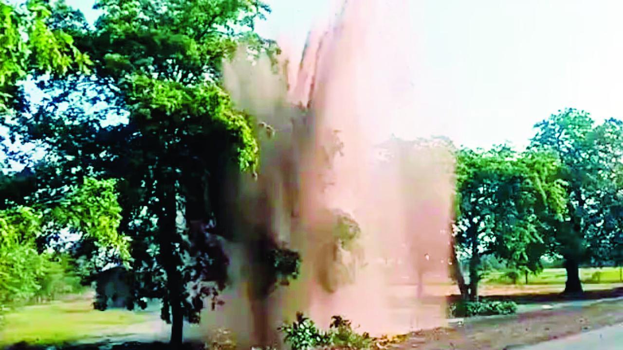 વાયરલ વીડિયોમાંથી સ્ક્રીન શૉટ
